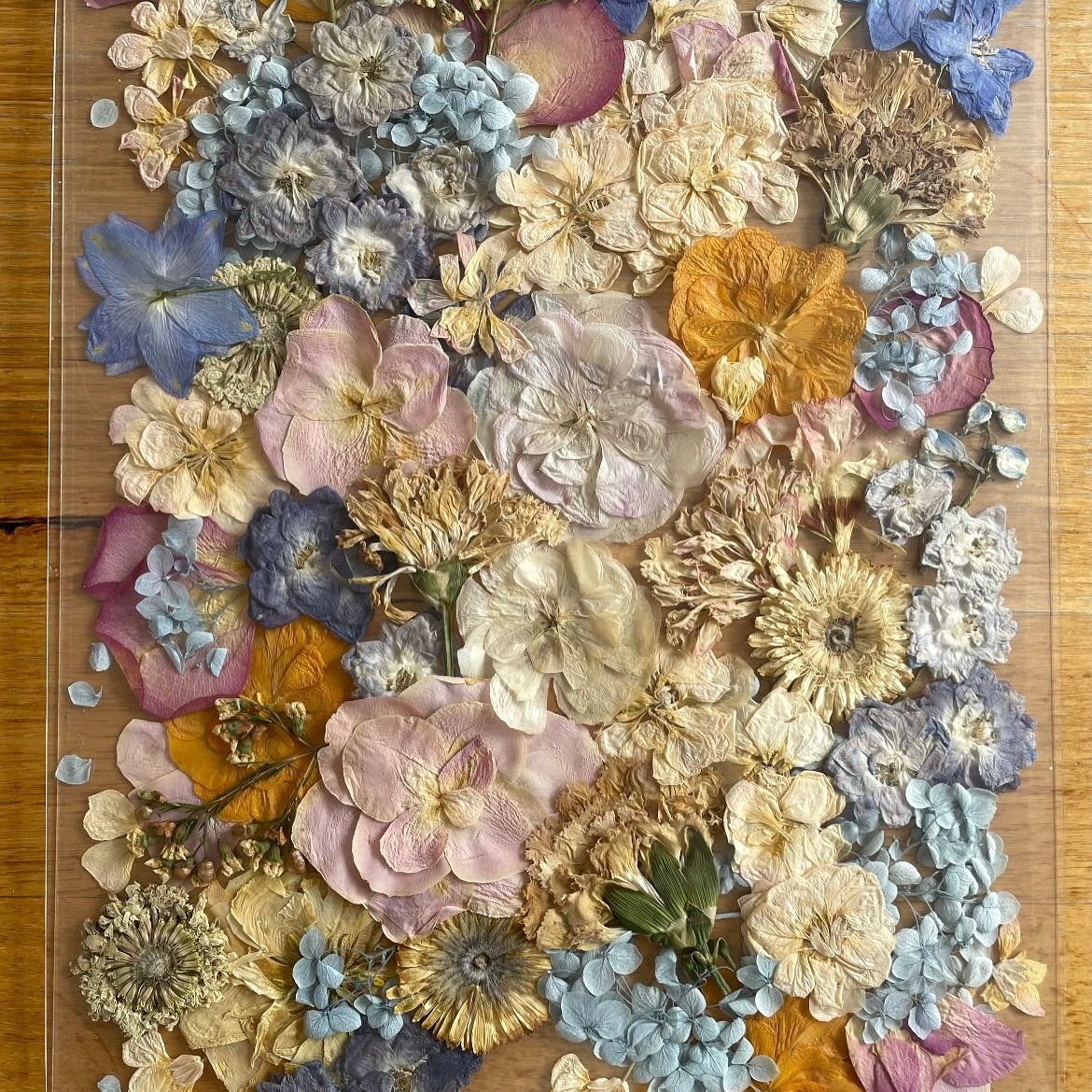 Clear Floating Pressed Flower Frame